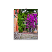 Load image into Gallery viewer, St Tropez in Bloom