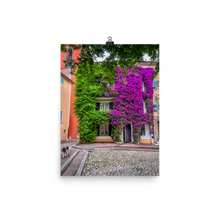 Load image into Gallery viewer, St Tropez in Bloom