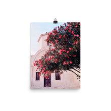 Load image into Gallery viewer, Rose Colored Glasses