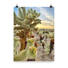 Load image into Gallery viewer, Cactus Flower