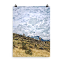 Load image into Gallery viewer, Patagonia Skies