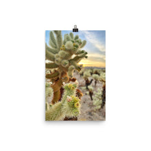 Load image into Gallery viewer, Cactus Flower