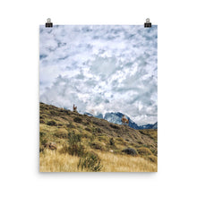 Load image into Gallery viewer, Patagonia Skies