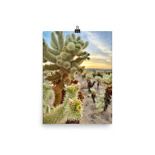 Load image into Gallery viewer, Cactus Flower