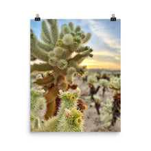 Load image into Gallery viewer, Cactus Flower