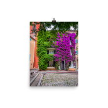 Load image into Gallery viewer, St Tropez in Bloom
