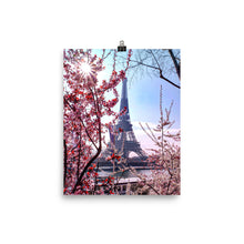Load image into Gallery viewer, Spring in Bloom
