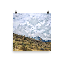 Load image into Gallery viewer, Patagonia Skies
